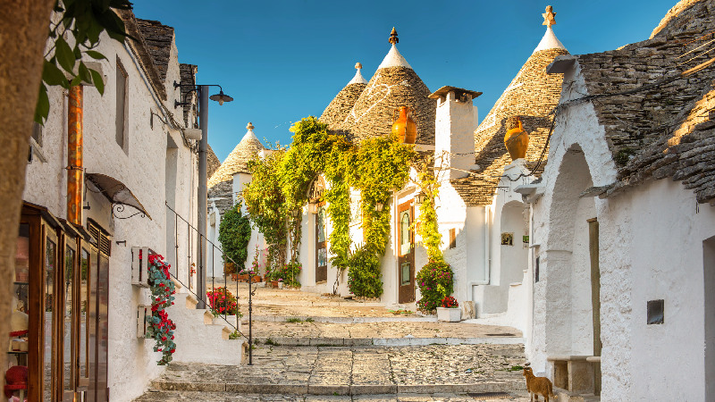 Tour ad Alberobello