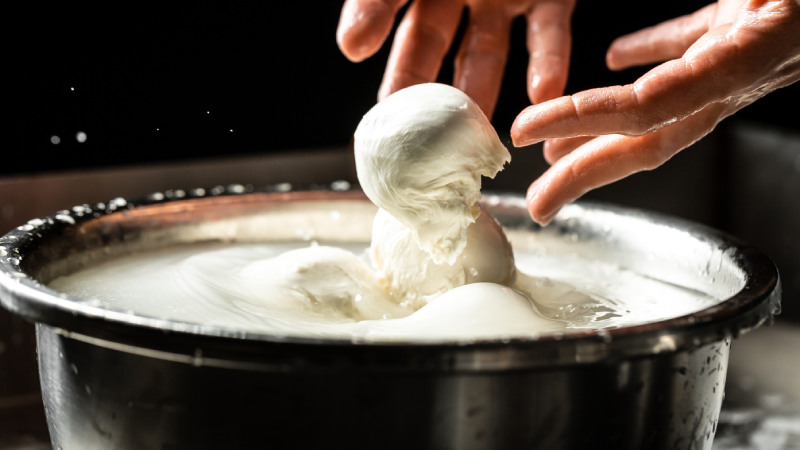 Tour Gastronomico in caseificio